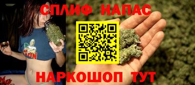 индика Краснодар