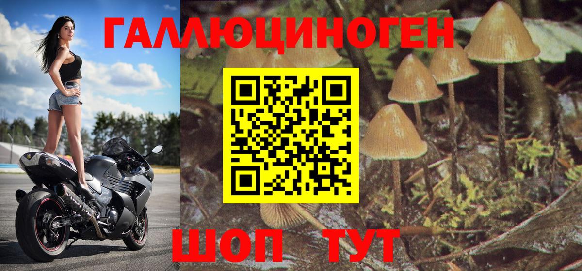 Псилоцибиновые грибы мицелий  Вход с VPN  Михайловка 
